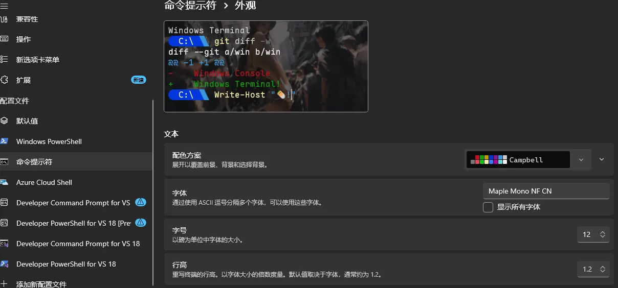 终端字体配置3